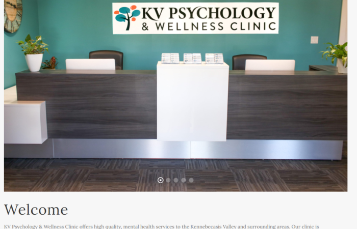 KV Psychology & Wellness Clinic