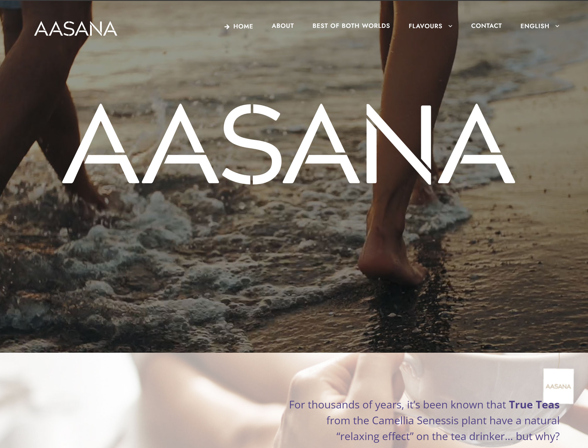 AASANA-website-homepage